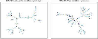 A Unified Approach to Analysis of MRI Radiomics of Glioma Using Minimum Spanning Trees